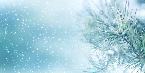 Christmas light background, snow, fir branches, snowflakes, bokeh