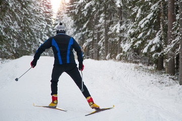 cross country skier