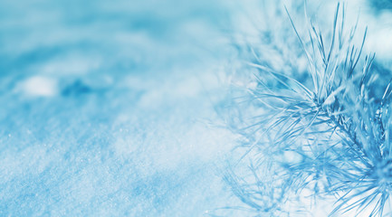 Christmas light background, snow, fir branches, snowflakes, bokeh