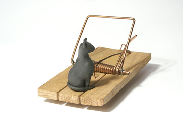 Mouse trap with cat for bait. Isolated on white background. With copy space text. Studio Shoot.