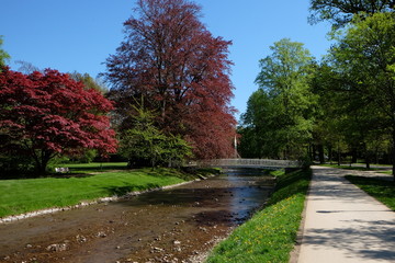 Wunderschöner Fluss in Baden-Baden