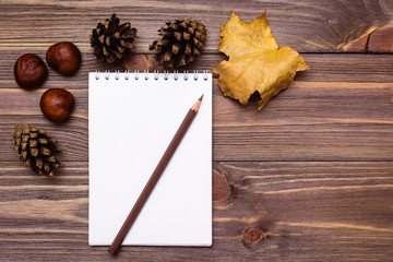 Autumn still life - notebook, pencil and gifts of autumn on a wooden background. Top view