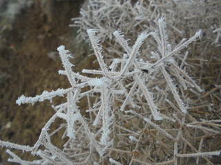 Obraz premium frost