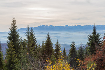 A view of an misty Tatra mountains