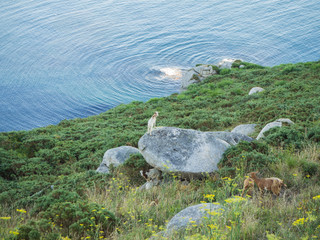 Fototapete bei efototapeten.de bestellen   