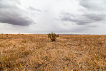 Endless steppes in front of a sky and clouds.