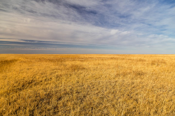 Endless steppes in front of a blue sky and white clouds.