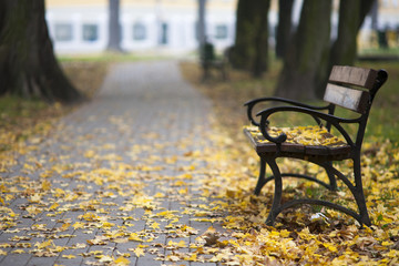 ławka w parku miejskim jesienią - obrazy, fototapety, plakaty