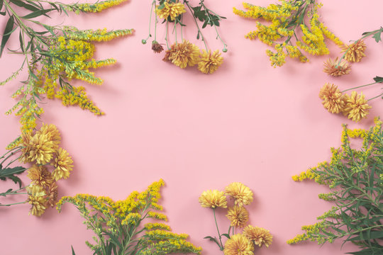 Fototapeta Golden-daisy flowers as border on pastel pink background. Floral pattern. Fall.