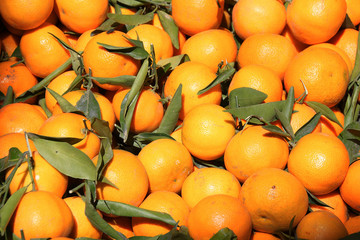 Oranges for sale at a market stall souk in Morocco