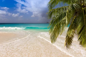 Crédence de cuisine en verre imprimé Plage de Seven Mile, Grand Cayman Turquoise water of caribbean sea
