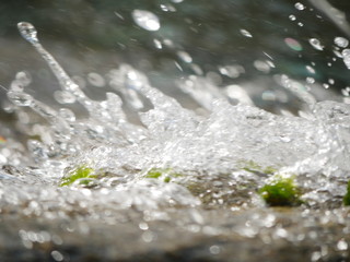 Wasser in Bewegung