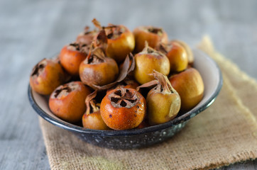 Mespilus germanica - also known as Medlar Fruit
