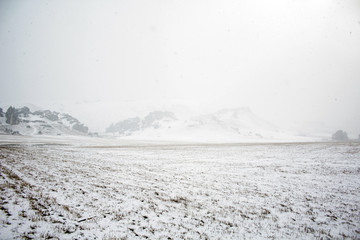 landscape near Castle Hill covered in snow, South Island, New Zealand