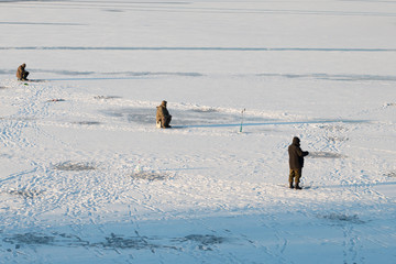 Winter fishing on the first ice