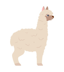 Cute white lama alpaca, side view vector illustration
