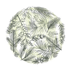 Christmas plants . Vector hand-drawn illustration.