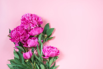 Bouquet of pink peony flowers as frame on pastel pink. Copy space for text. Top view. Flat lay.