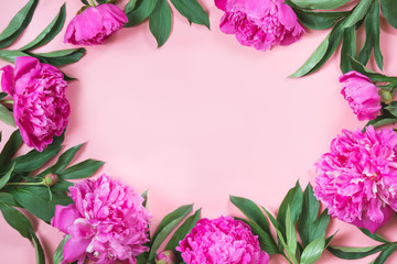 Boorder of pink peony flowers as frame on punchy pastel pink. Copy space for text. Top view. Flat lay.