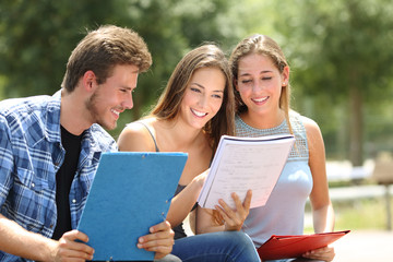 Three students studying together in a campus park