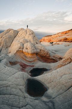 White Pocket Tiny hiker scale, Arizona, USA
