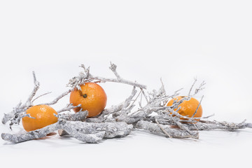 Christmas decoration on white background. Table paper Calendar of Year 2019