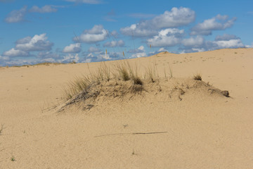 Sandy desert with clouds in the blue sky