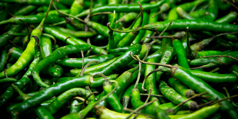 Fresh green serrano peppers piled at a food market—close-up of vibrant chili display for culinary visuals and editorial use.