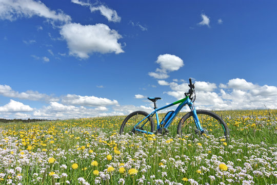 Bicycle in a colorful spring meadow with yellow dandelions and white cuckoo flowers under blue sky