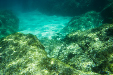 Underwater landscape in the Mediterranean