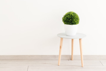 Minimal white room with a green plant on a table