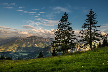 Allgäu, Wertacher Hörnle © Maciej Nowicki