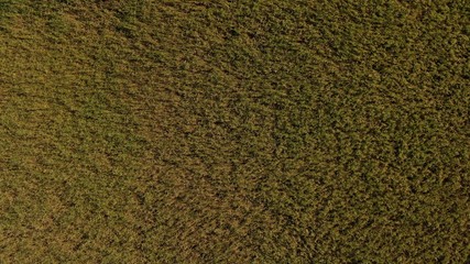 Landschaft von oben in Deutschland