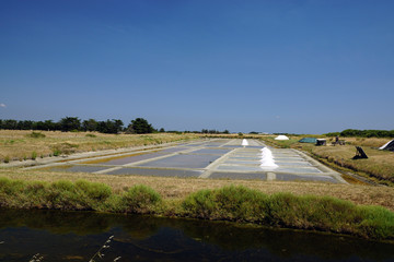 salines au milieu des marais salant