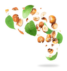 Cracked hazelnuts with leaves in the air close-up isolated on white background