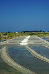 Salines de Noirmoutier