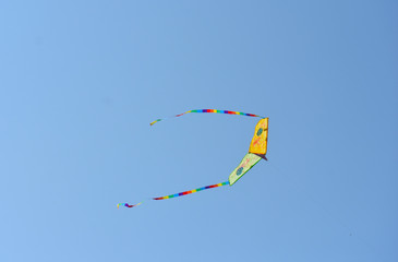 Yellow Flying Kite