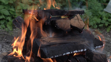Burning coals. Fire in the woods. Beautiful flame. Black wood. Camping. Holiday destination. Summer season.