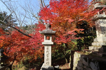 奈良県　長谷寺の紅葉