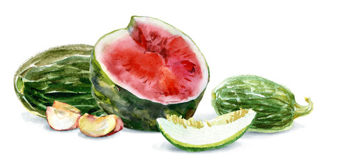 Watercolor food. Fresh fruit still-life. Watermelon, melon, apple