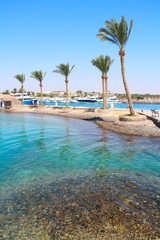 Fototapeta na wymiar View of tropical island with palm trees and sea. Paradise island in Red sea