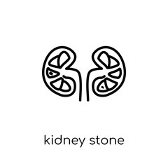 Kidney stone disease icon. Trendy modern flat linear vector Kidney stone disease icon on white background from thin line Diseases collection