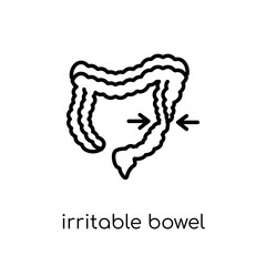 Irritable bowel syndrome icon. Trendy modern flat linear vector Irritable bowel syndrome icon on white background from thin line Diseases collection