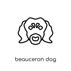 Beauceron dog icon. Trendy modern flat linear vector Beauceron dog icon on white background from thin line dogs collection