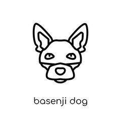 Basenji dog icon. Trendy modern flat linear vector Basenji dog icon on white background from thin line dogs collection