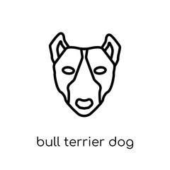 Bull Terrier dog icon. Trendy modern flat linear vector Bull Terrier dog icon on white background from thin line dogs collection