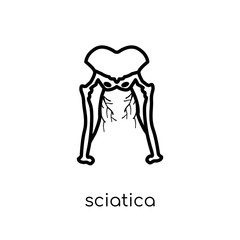 Sciatica icon. Trendy modern flat linear vector Sciatica icon on white background from thin line Diseases collection