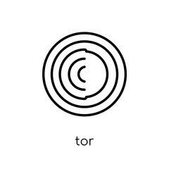 Tor icon. Trendy modern flat linear vector Tor icon on white background from thin line Cryptocurrency economy and finance collection