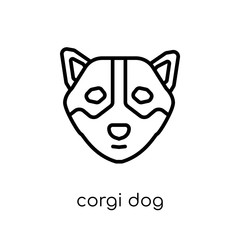 Corgi dog icon. Trendy modern flat linear vector Corgi dog icon on white background from thin line dogs collection