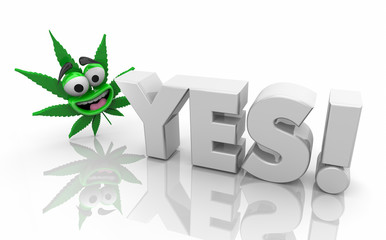 Yes Marijuana Leaf Legalize Vote for Cannabis 3d Illustration